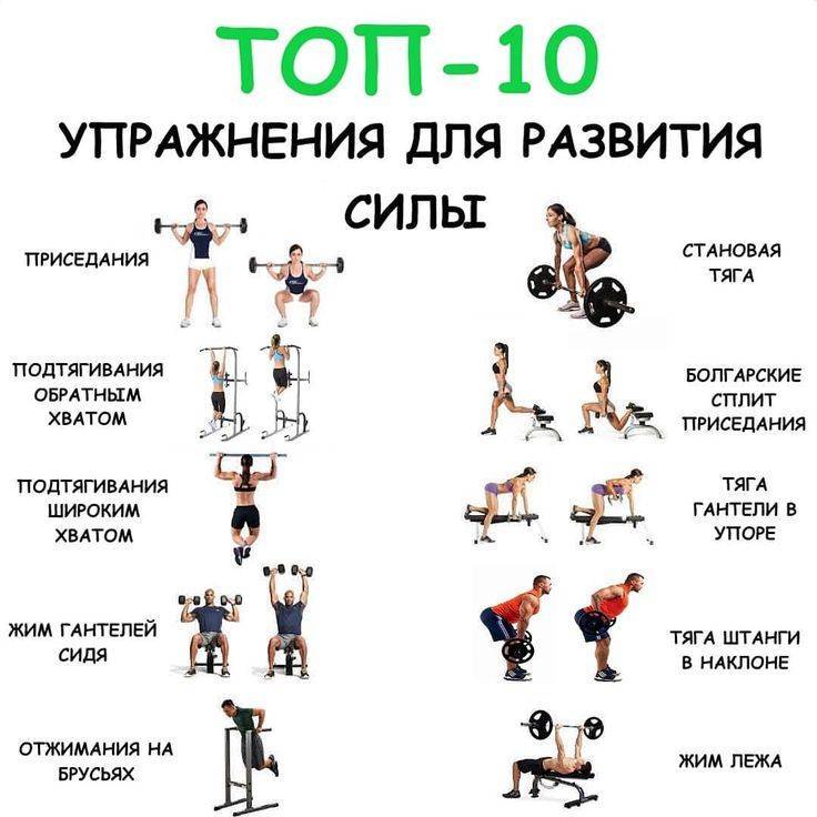 Топ-15 упражнений со штангой на все группы мышц: рекомендации для набора массы и похудения