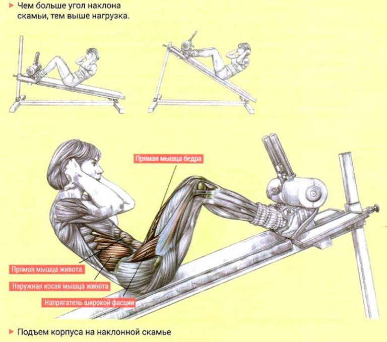 Скручивания на наклонной скамье: описание упражнения с фото, пошаговая инструкция выполнения и проработка мышц живота - tony.ru