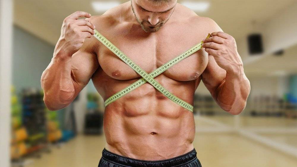 Гипертрофия мышц: обзор принципов тренировки для увеличения массы мышц. часть 2