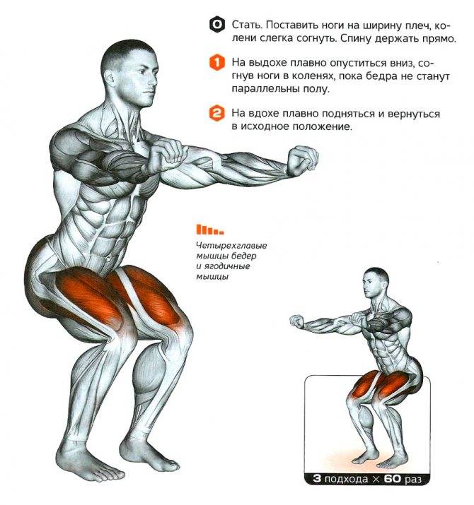 Как накачать мощные ноги: 6 тренировочных схем. • bodybuilding & fitness