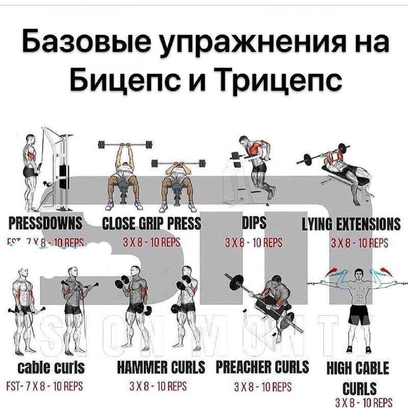 Упражнения со штангой в домашних условиях - комплекс для тренировки разных групп мышц