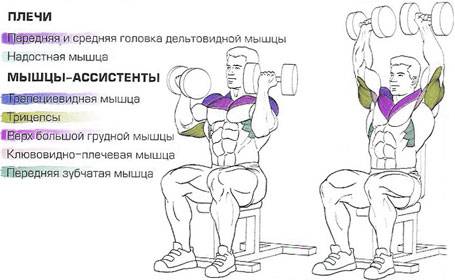 Жим арнольда