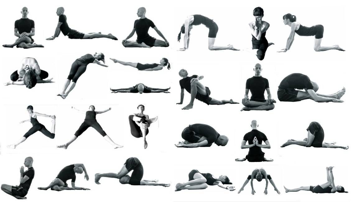 Позы для йоги для начинающих
