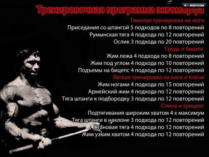 Как накачать мышцы в домашних условиях: упражнения и тренировка