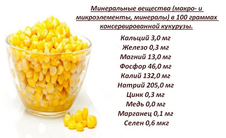 Консервированная кукуруза — польза и вред для здоровья человека, и свойства