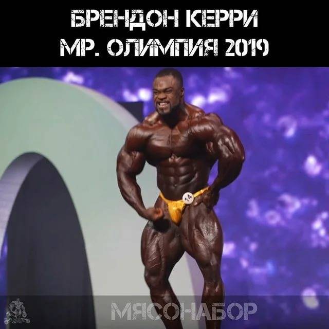 Результаты мистер олимпия 2020: победитель в открытой категории и итоги в других категориях
