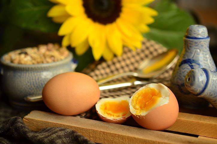 Можно ли есть яйца каждый день? в чем вред ежедневного употребления яиц?
