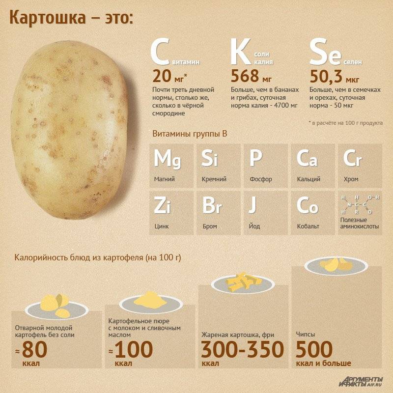 Отварной картофель калории в 100 гр — калорийность картошки вареной на воде