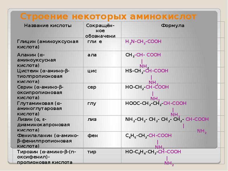 Катаболизм аминокислот - обмен и функции аминокислот - биохимия учебник для вузов - е. с. северина - 2004