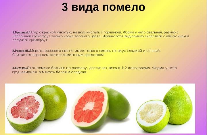 Экзотический и загадочный грейпфрут: полезен или вреден? факты о калорийности, пользе и вреде грейпфрута для похудения