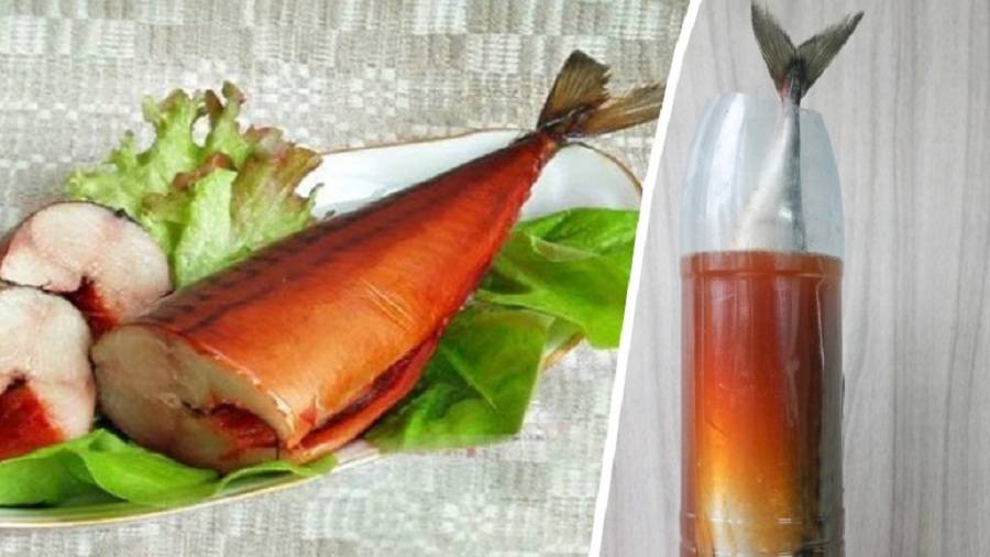 Скумбрия в бутылке - рецепт настоящего деликатеса из простой рыбы