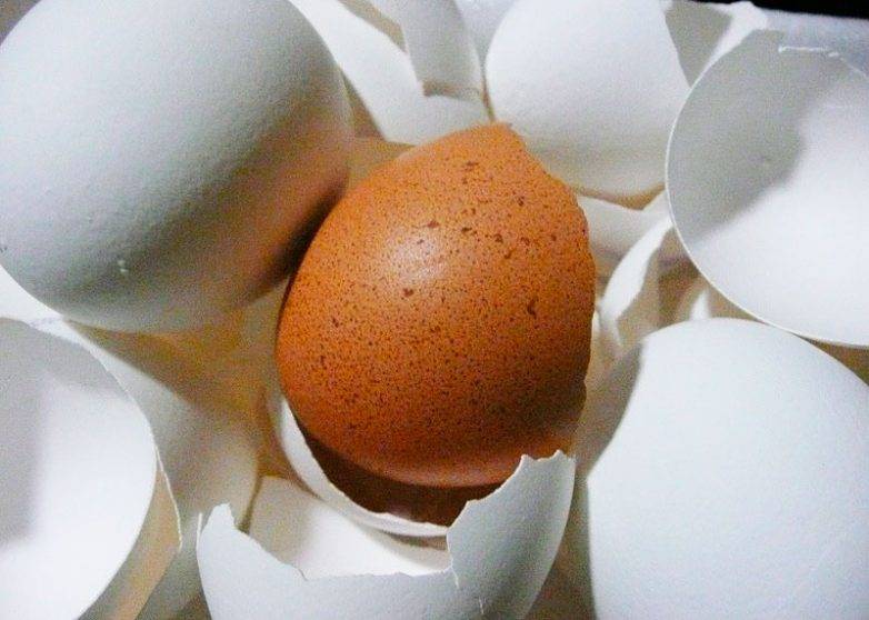 Полезна ли яичная скорлупа как источник кальция? как правильно принимать