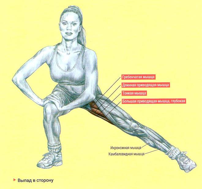 Боковые выпады – sportfito — сайт о спорте и здоровом образе жизни