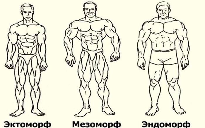Как узнать какое у тебя телосложение: как определить кто ты эктоморф мезоморф эндоморф?