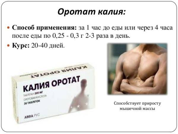 Калия оротат таблетки 500 мг инструкция по применению