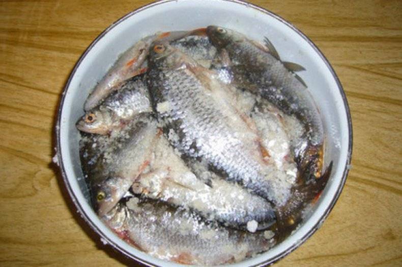Как солить и мариновать рыбу - 5 простых рецептов засолки рыбы