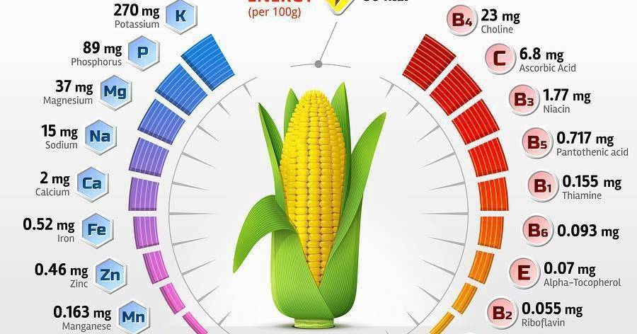 Калорийность кукурузы и особенности её состава: витамины, минералы и полезные свойства царицы полей