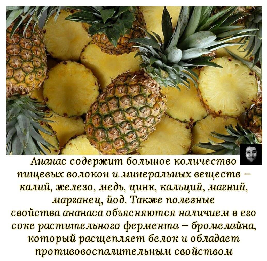 Консервированные ананасы. калорийность и польза консервированных ананасов