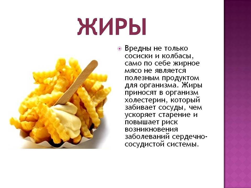Польза жиров для здоровья - solo mag