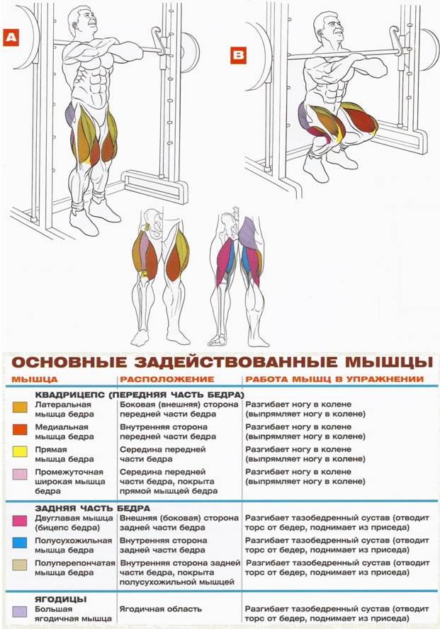 Программа тренировок для мышц груди и бицепсов №2