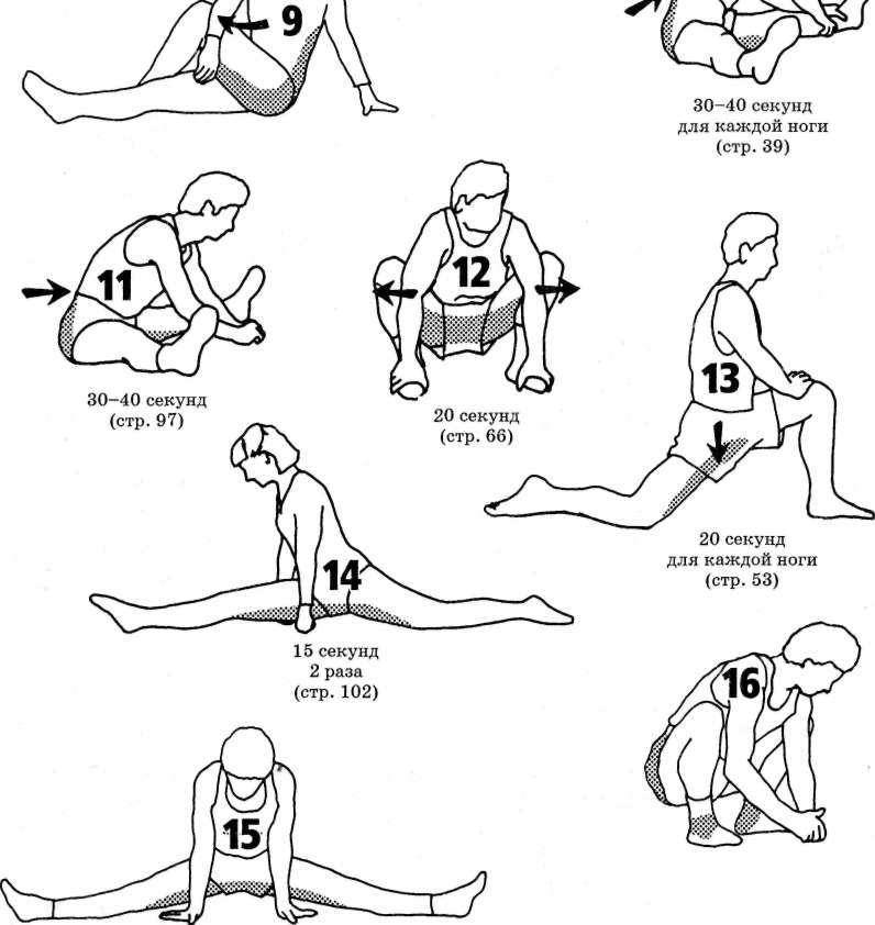 Как сесть на шпагат: растяжка и гимнастические упражнения на поперечный и продольный для начинающих