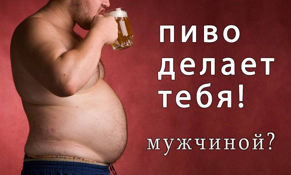 Безалкогольное пиво после тренировки: польза или вред - bikeandme.com.ua