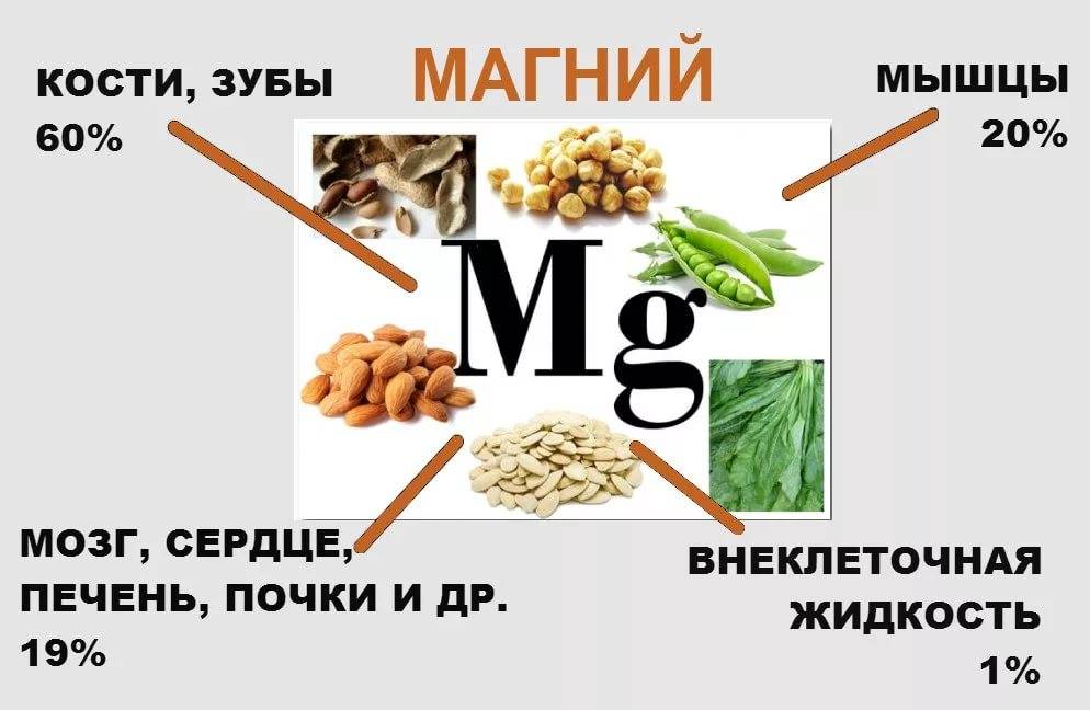 С чем можно магний. Источники магния для организма человека. Магний в продуктах. Где содержится магний в организме человека. Источники магния в продуктах питания.