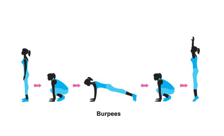 Берпи (burpee): идеальное упражнение, техника выполнения и польза упражнения берпи