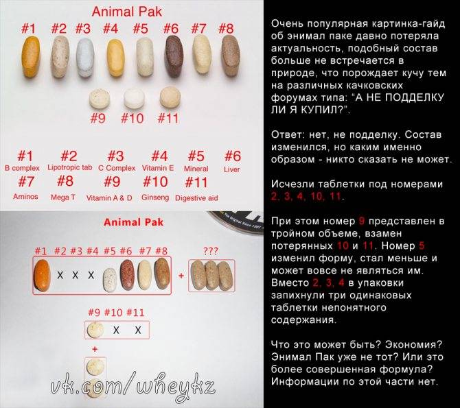 Animal flex (44 пак.): инструкция по применению, состав и отзывы - tony.ru