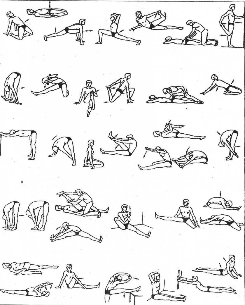 Как сесть на шпагат дома за короткое время: 30 упражнений для растяжки ног начинающим (фото и видео уроки)