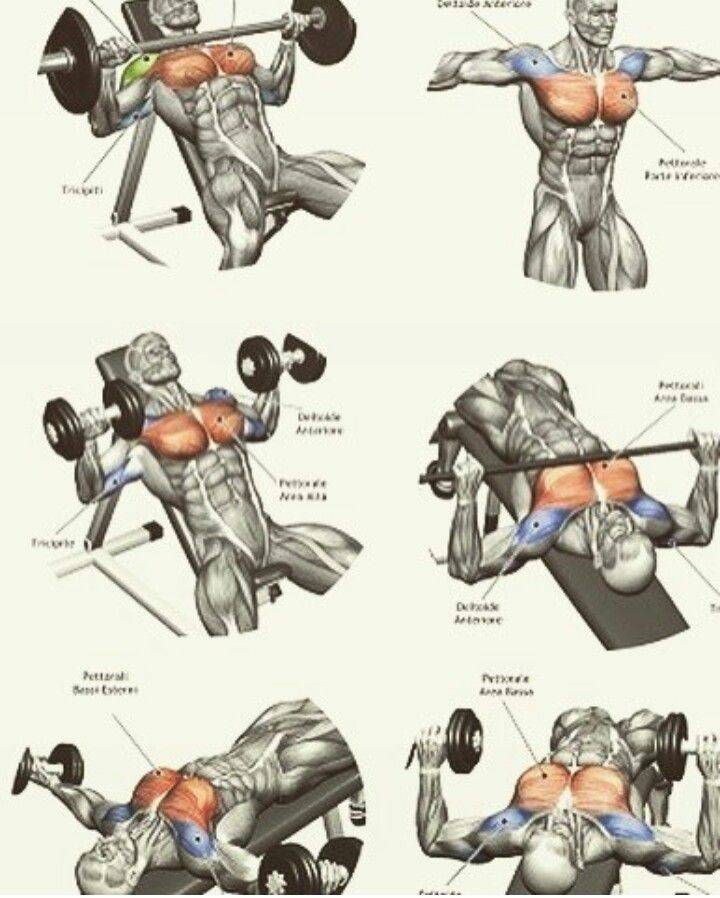 Как накачать верхнюю часть грудных мышц | strong life
