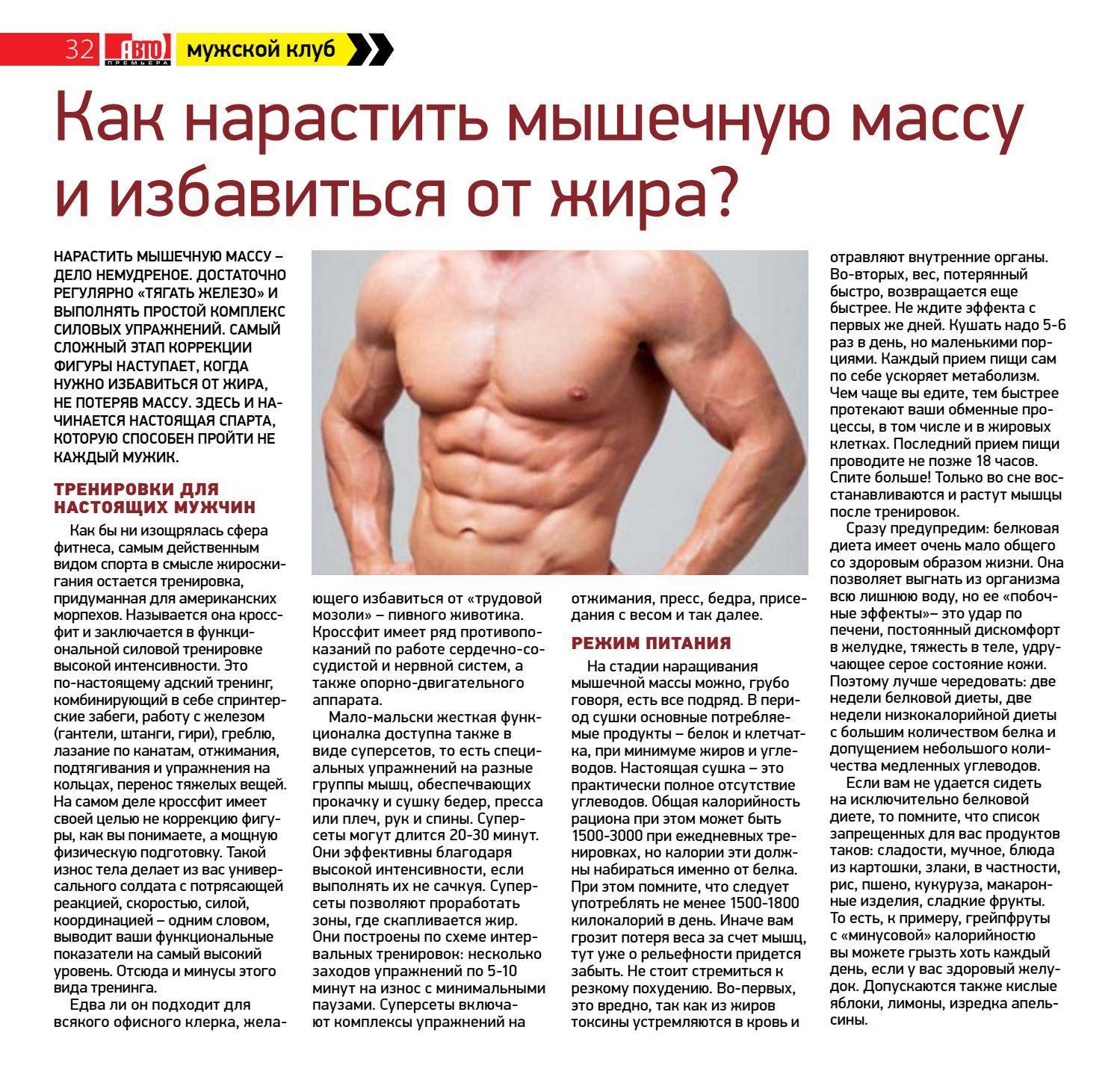 До скольки лет растут мышцы у мужчин? условия для роста мышц - tony.ru