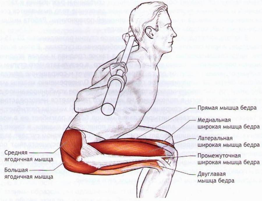 Приседания плие: техника и особенности упражнения | rulebody.ru — правила тела