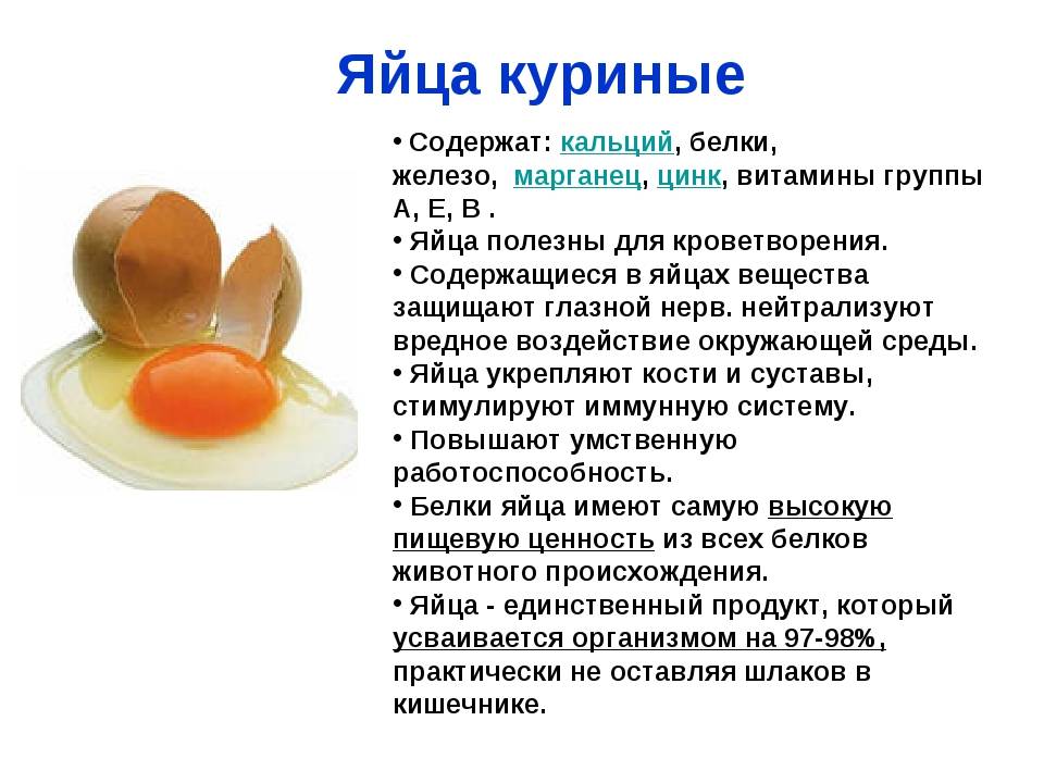 Яйцо куриное - полезные свойства, состав и противопоказания (+ 20 фото)