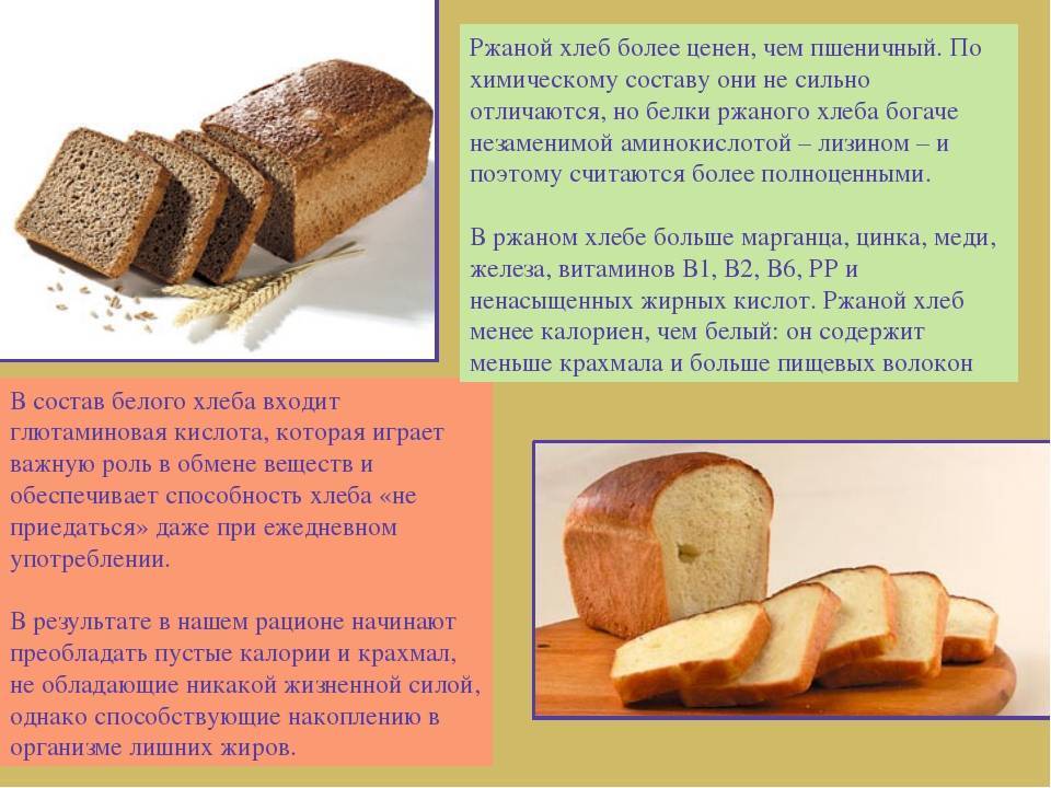 Польза и вред хлеба для организма человека: аналитический обзор на infohealth