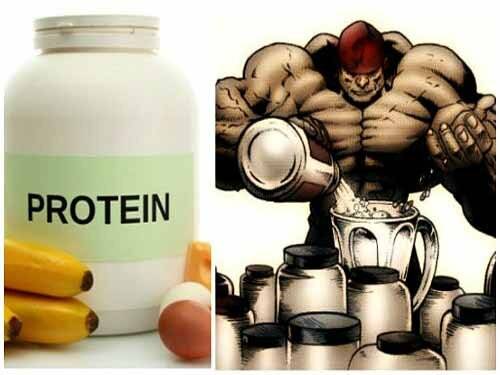 Протеин и его польза и вред для мужчин
