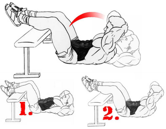 Кубики на животе: упражнения для рельефного пресса для мужчин и женщин