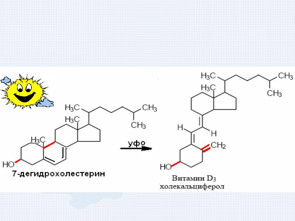 Разница витамина д и д 3. Витамин d3 формула холекальциферол. Синтез витамина д2 и д3. Синтез витамина д2 эргокальциферол. Кальциферол д3.