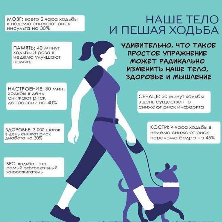 Польза ходьбы пешком: сколько нужно ходить в день для здоровья