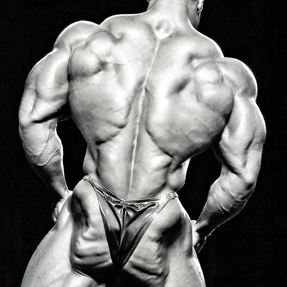 Монстры массы рекомендуют или как накачать большие мышцы? | bestbodyblog.com
