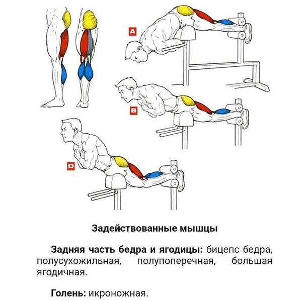 Боковая гиперэкстензия: техника выполнения, какие мышцы работают