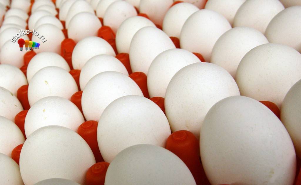 Чем полезны яйца и сколько их можно съесть на пасху