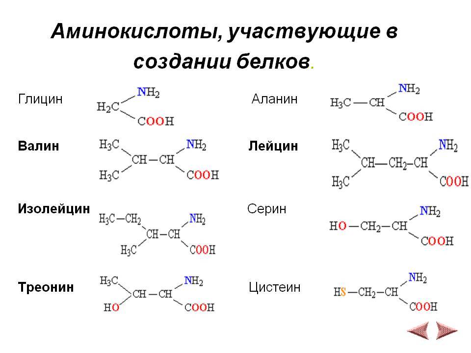 Глицин этан. Глицин лизин Валин. Глицин аланин Валин лейцин. Лейцин Валин аланин лизин метионин триптофан треонин фенилаланин. Аминокислота лизин Валотин.