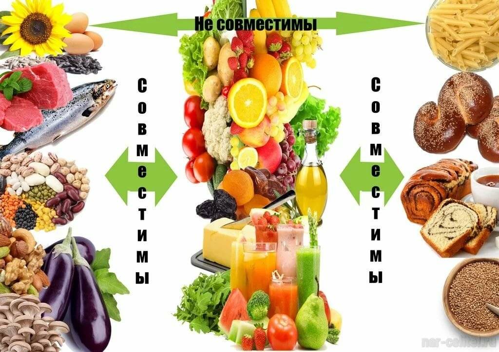 Таблица совместимости продуктов при раздельном питании