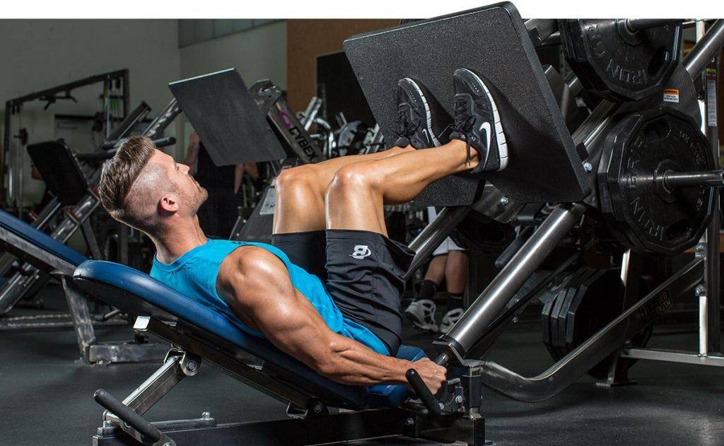 Как накачать мощные ноги: 6 тренировочных схем. • bodybuilding & fitness