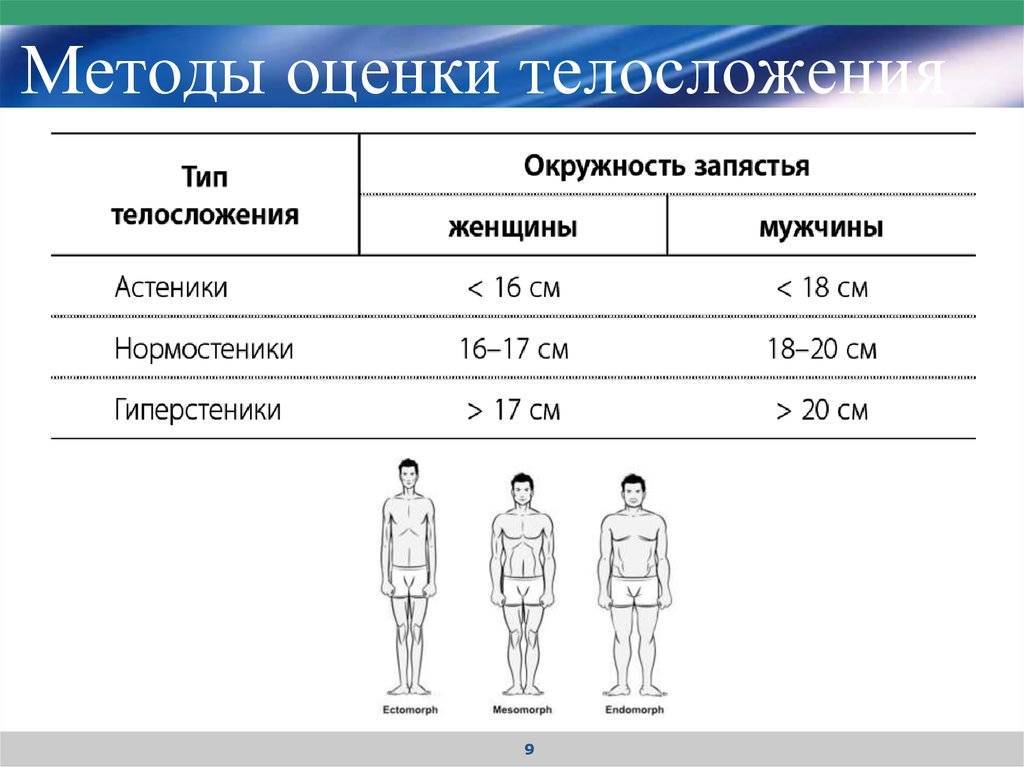 Типы телосложения мужчин: какое бывает, чем отличается и как его определить