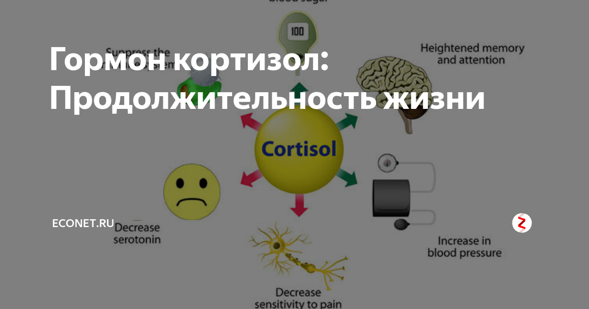 Как снизить уровень кортизола у женщин препараты схема лечения