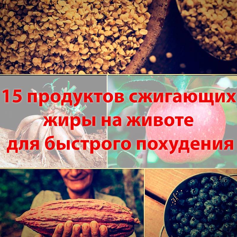 Как мы толстеем? - fitlabs / ирина брехт