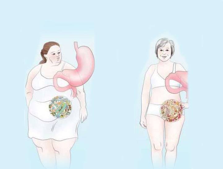 Как уменьшить желудок, чтобы похудеть в домашних условиях: эффективные способы