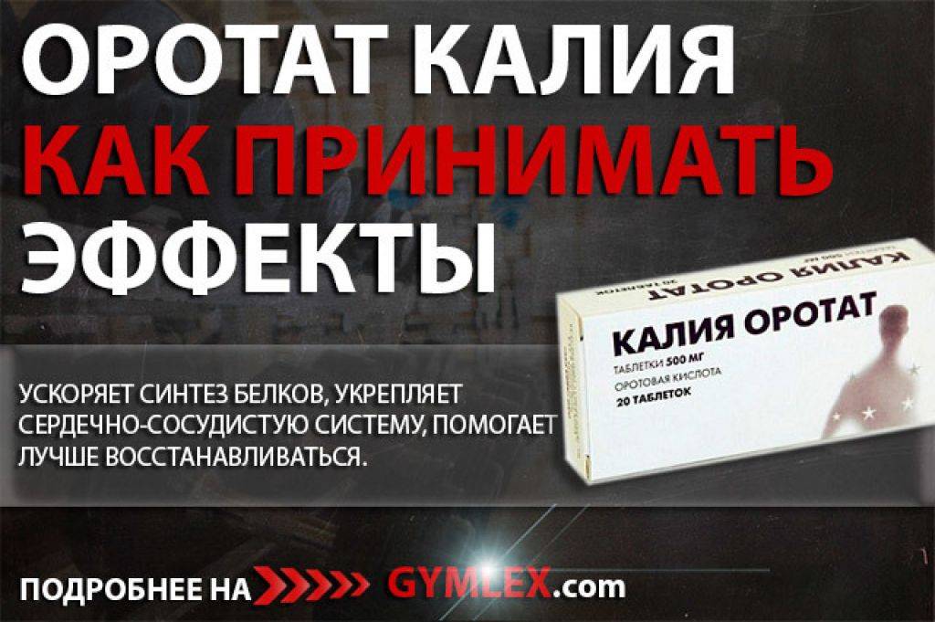 Рибоксин — защита сердца от перегрузок в спорте и бодибилдинге